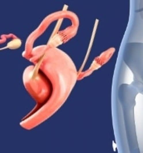8 figura fundo azul ilustrando ultrassonografia pélvica abdominal virtus ultrassonografia em blumenau