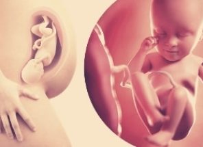 figura ilustrando grupo de exames ultrassonografia em medicina fetal - 3D - 4D - 5D - ultrassom gestacional - ultrassom na gravidezclínica virtus em blumenau